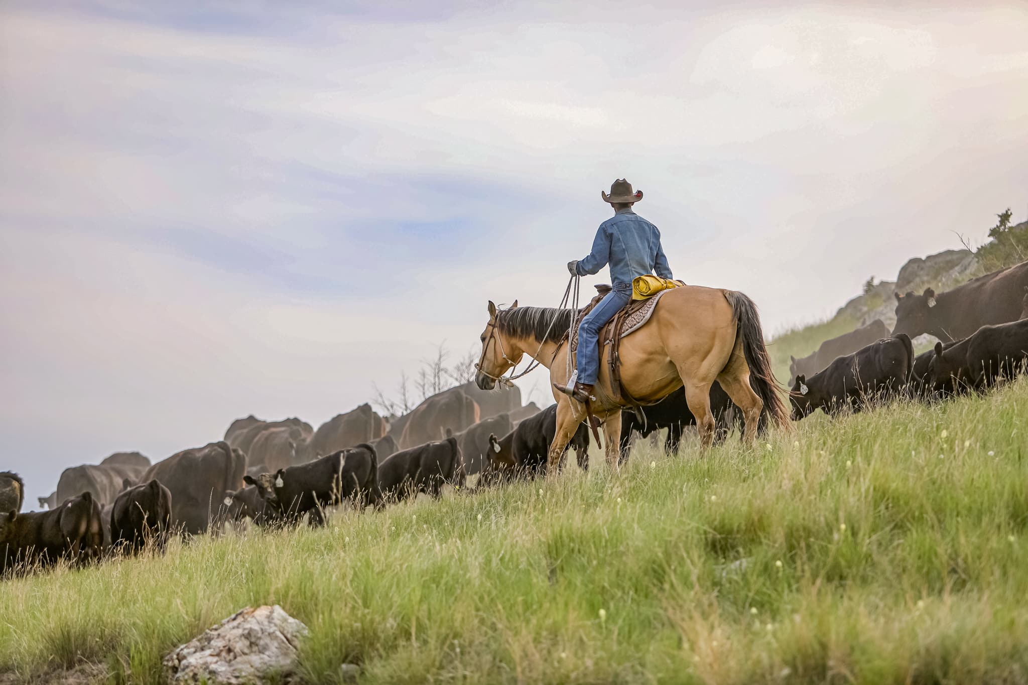 A cowboy in a hat and denim clothing rides a horse, herding cattle across a grassy hillside beneath a cloudy sky, showcasing the spirit of life on a classic cattle ranch.