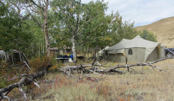 A large beige canvas tent is set up in a grassy, wooded area on hunting property next to scattered fallen branches, with leafy trees and camping supplies nearby. A hillside rises in the background under a cloudy sky.