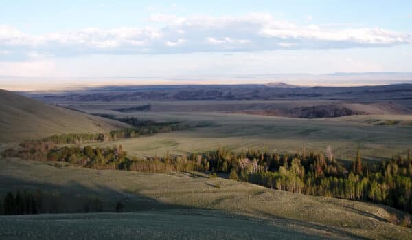 A wide landscape view of rolling grassy hills, clusters of green trees, and distant flat plains under a partly cloudy sky—perfect recreational land or hunting property with soft sunlight and long shadows.