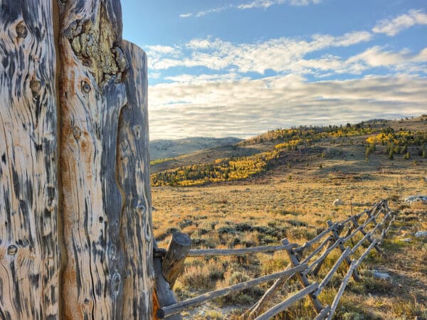 Weathered wooden fence in the foreground with a sunlit, grassy landscape and forested hills under a partly cloudy sky in the background. Yellow autumn foliage highlights this scenic hunting property and recreational land for sale.