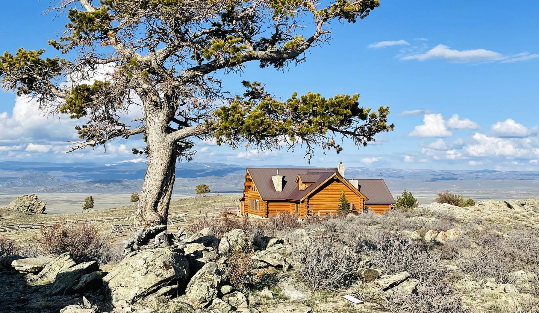 A rustic log cabin sits on a rocky, shrub-dotted hillside, partially shaded by a tall pine tree, with distant mountains and a blue sky in the background—perfect for a ranch for sale or cattle ranch seekers.
