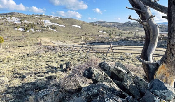 A scenic view of rolling hills with patches of snow, a wooden split-rail fence, scattered rocks in the foreground, and a weathered tree under a bright blue sky—perfect for those seeking ranch for sale or hunting property.