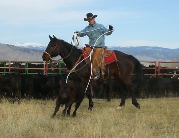 Ranch-Scott-Roping