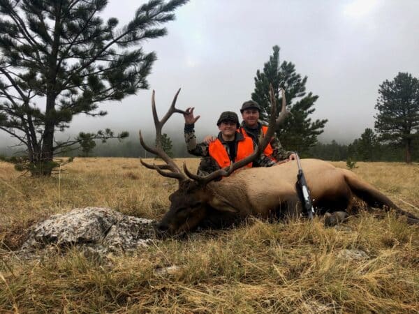 Two people in orange vests pose outdoors behind a large elk lying on the grass. One holds the elk's antlers, and a rifle rests on the elk. Perfect example of trophy wildlife found on this premier hunting property surrounded by pine trees and misty sky.