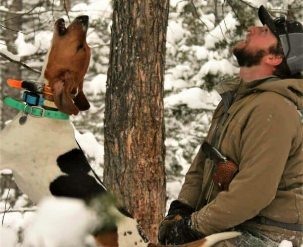 A man in winter clothing and a hound dog both look upward, appearing to howl beside a snow-covered tree on recreational land in a forest.