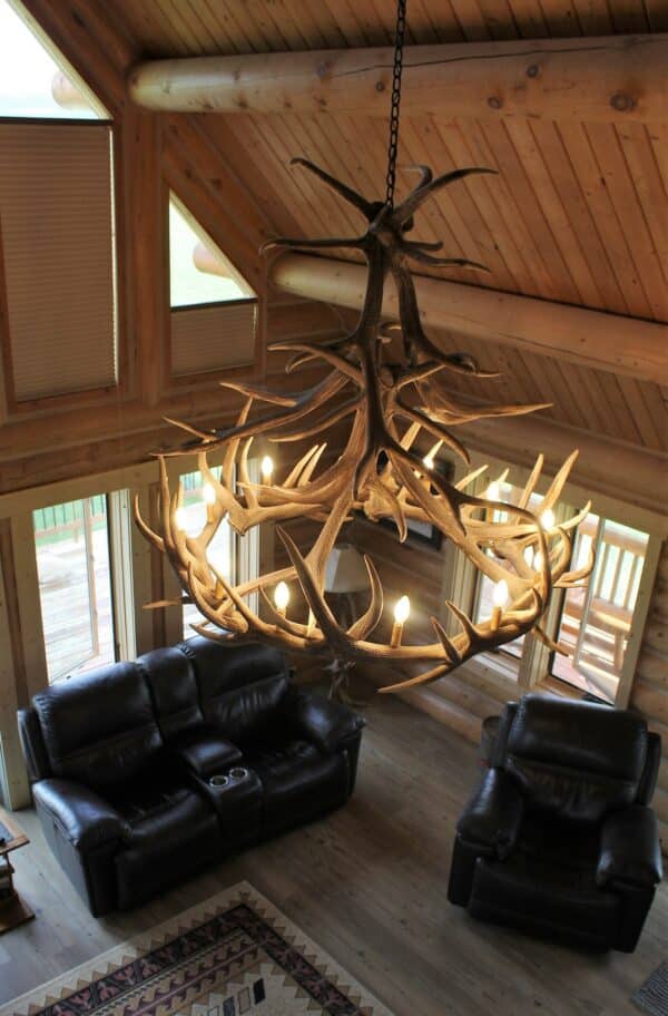 A large antler chandelier hangs from the wooden ceiling of a rustic living room, perfect for a cattle ranch, with leather sofas, wooden floors, and large windows letting in natural light.
