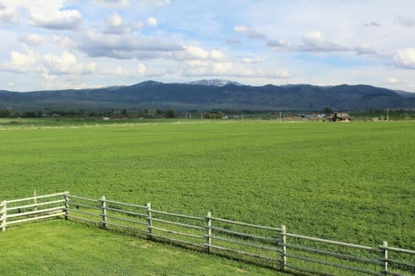 A green grassy field stretches to distant mountains under a partly cloudy sky; a wooden fence runs across the foreground, with a small farmhouse visible near the horizon, perfect for a cattle ranch.