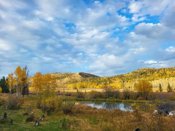 A scenic landscape with a small pond, autumn trees with yellow leaves, grassy fields, and rolling hills under a partly cloudy blue sky—perfect recreational land or potential hunting property.