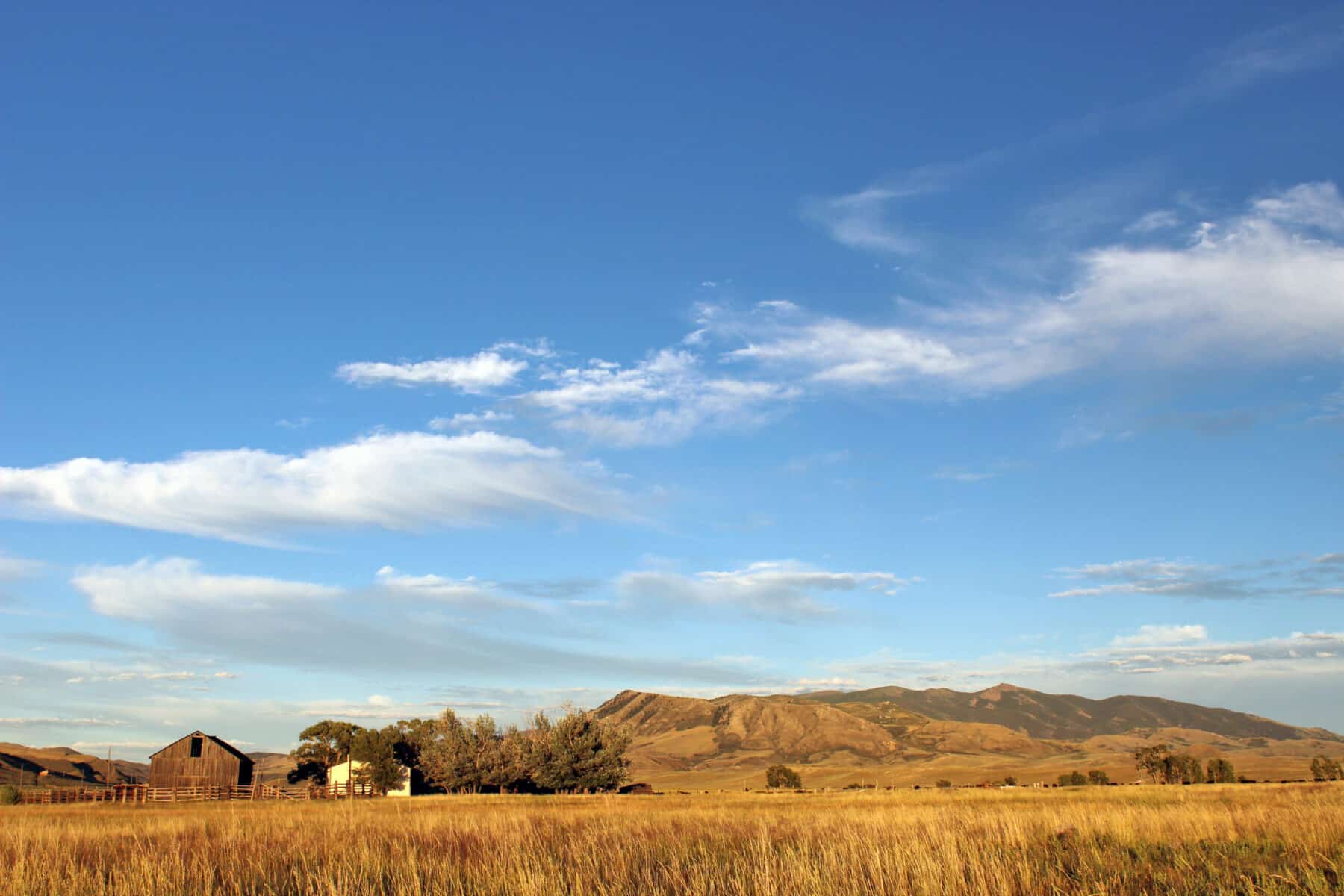 A wide, open field with tall golden grass, a barn, scattered trees, and distant hills under a blue sky with wispy clouds—ideal recreational land or hunting property.