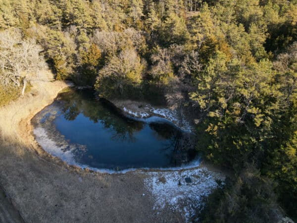 A small, irregularly-shaped pond surrounded by patches of snow and bare ground sits at the edge of a dense forest, seen from above—an ideal feature for a hunting property or cattle ranch with unique land for sale.