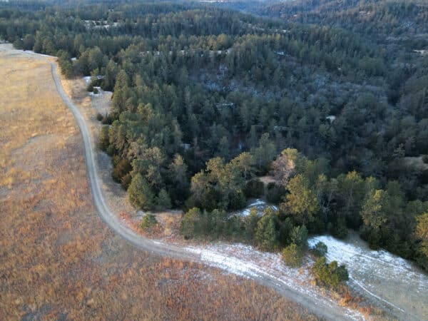 A winding dirt road curves through a landscape of golden grass and dense green forest, with patches of snow scattered along the ground—ideal recreational land or cattle ranch potential, viewed from above.