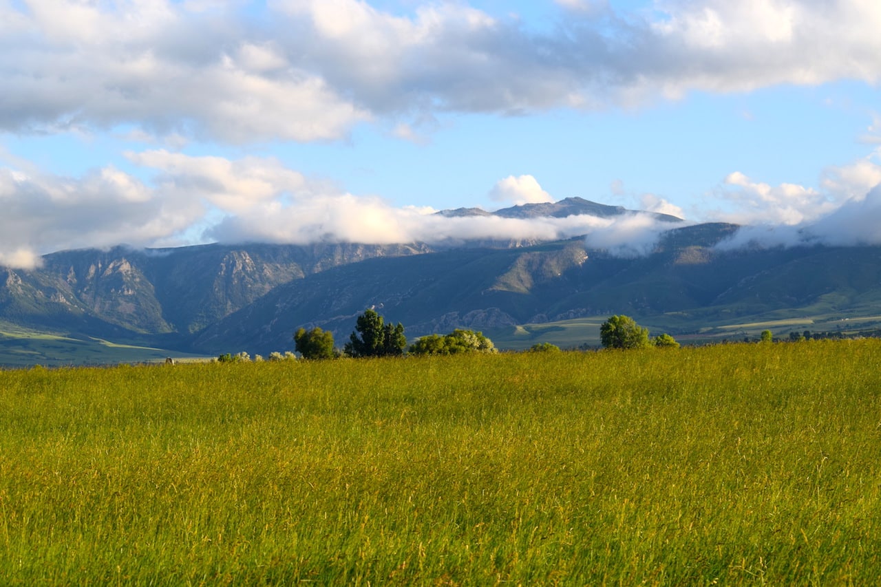 A wide grassy field with scattered trees sits in front of distant mountains, partially covered by clouds under a blue sky—ideal hunting property or cattle ranch land for sale.