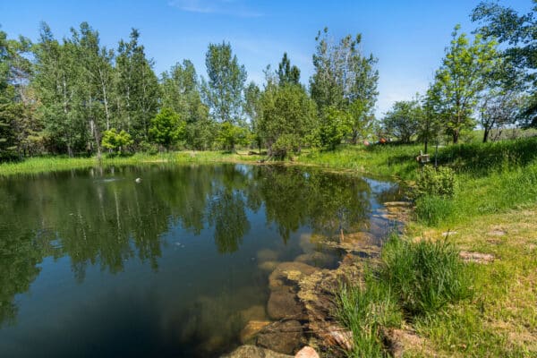 A small, calm pond surrounded by green grass, rocks, and tall trees under a clear blue sky offers the perfect setting for recreational land or your ideal ranch for sale.