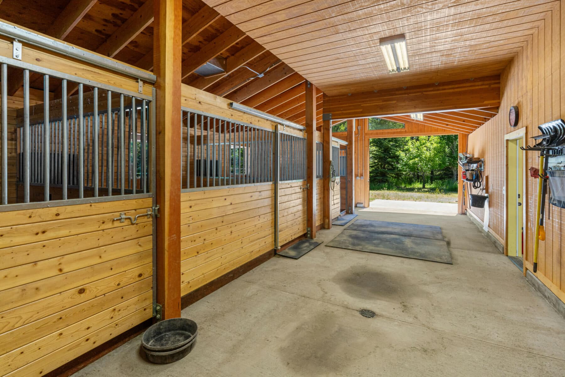 Wide view of a clean, well-lit horse stable with wooden stalls, metal bars, and open doors revealing green land for sale beyond the tree-filled area. Horse equipment hangs on the wall, ideal for those seeking a cattle ranch.