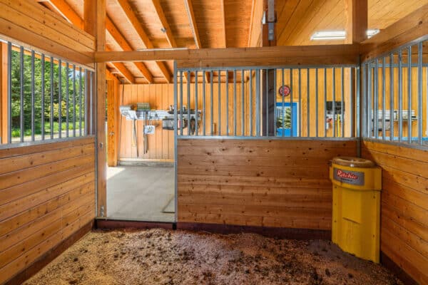 Inside a wooden horse stable on a cattle ranch, with a partially open metal-bar gate, a yellow trash bin, sawdust and manure on the floor, and cleaning tools hung on the wall in the adjacent room.