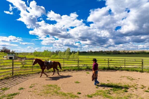 A person in cowboy attire stands in a round pen, watching a saddled brown horse walk in a circle. The pen is surrounded by green fields and open skies—perfect scenery for showcasing a cattle ranch or land for sale.