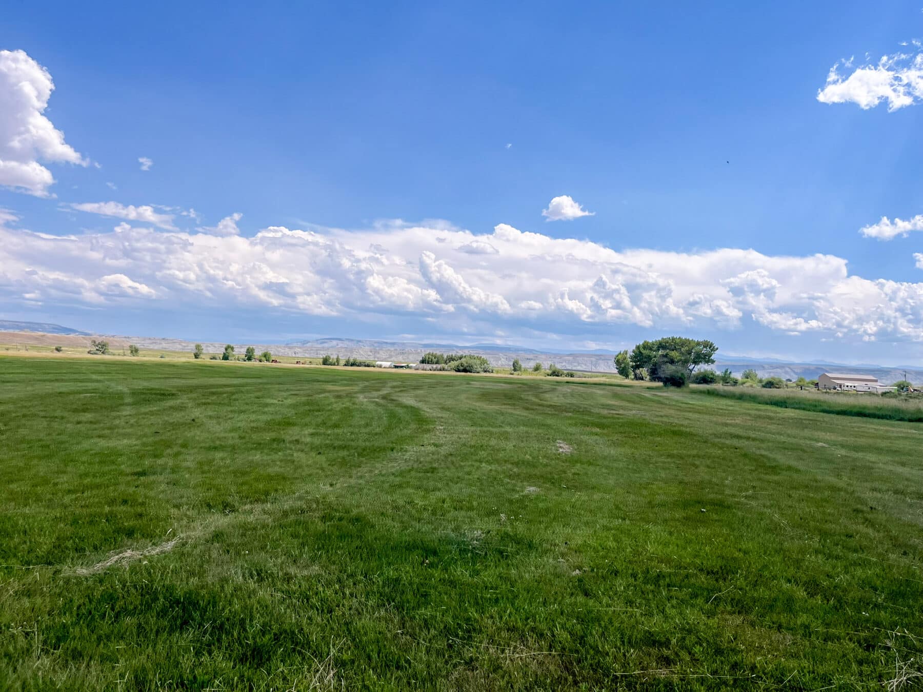 A wide, open grassy field under a bright blue sky with scattered clouds. Trees and a few buildings are visible in the distance, and faint tire tracks curve across the grass—ideal hunting property or potential ranch for sale.