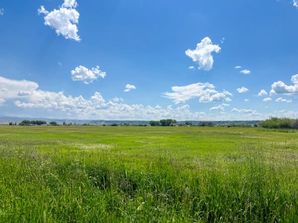 A wide, green grassy field stretches into the distance under a bright blue sky dotted with fluffy white clouds. Trees line the horizon, making this recreational land ideal for those seeking open skies and acreage.