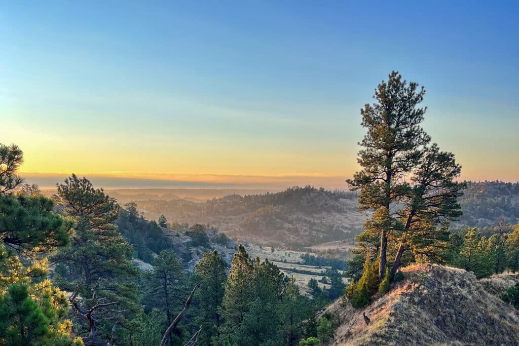 Sunrise over a scenic valley with rolling hills covered in pine trees, soft mist in the distance, and a clear blue sky—an ideal setting for a cattle ranch or those seeking land for sale.
