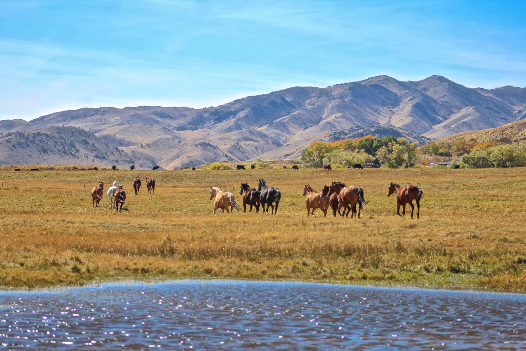 USA investment property