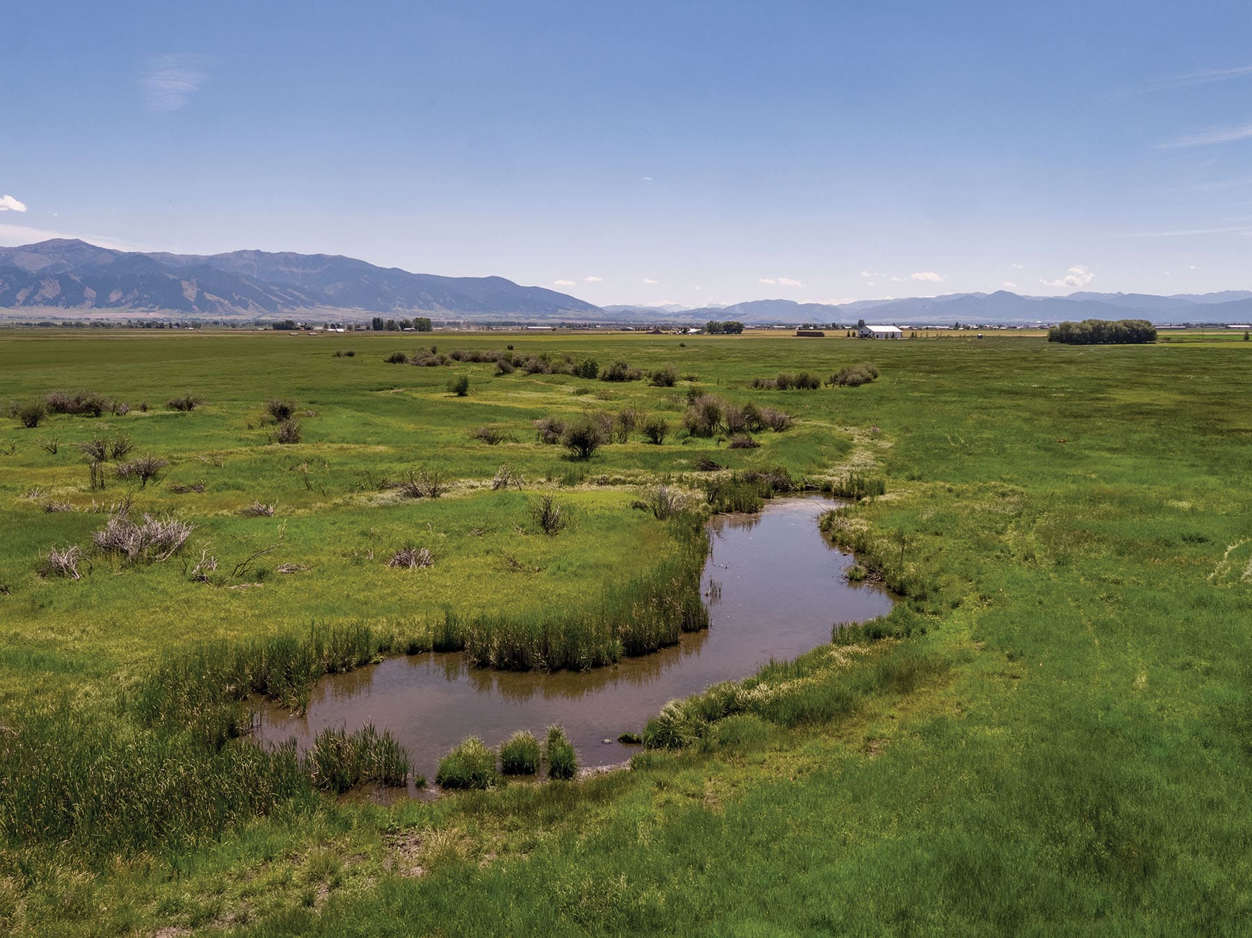 A winding creek flows through a vast green meadow under a clear blue sky, with distant mountains and scattered trees—perfect recreational land for a cattle ranch or an ideal ranch for sale.