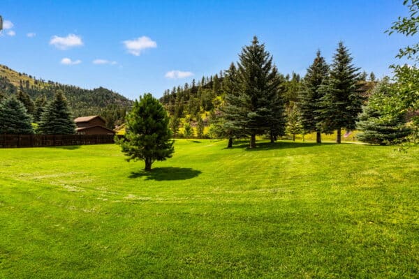 A wide, green grassy field with scattered pine trees, a wooden fence, and a brown house in the distance sits on ranch for sale, set against rolling hills under a clear blue sky.