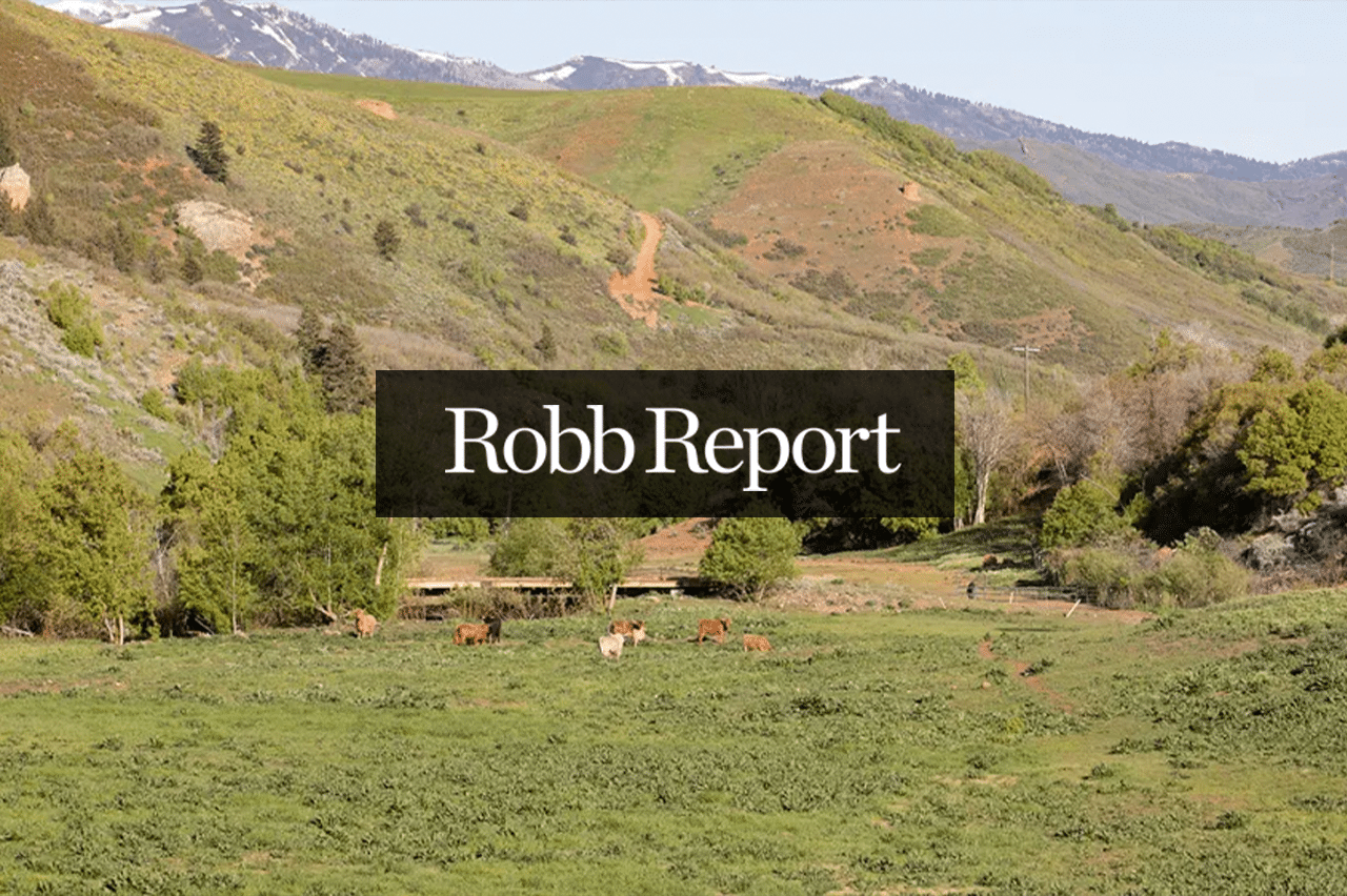A lush green valley with cows grazing, surrounded by rolling hills and trees, with distant snow-capped mountains; Robb Report is written in bold white letters in the center, highlighting prime ranch for sale.