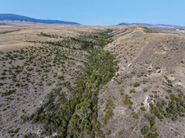 Aerial view of a dry, hilly landscape with sparse vegetation; a narrow, green, tree-filled valley runs through the center, making this land for sale ideal as a hunting property or cattle ranch under a clear blue sky.