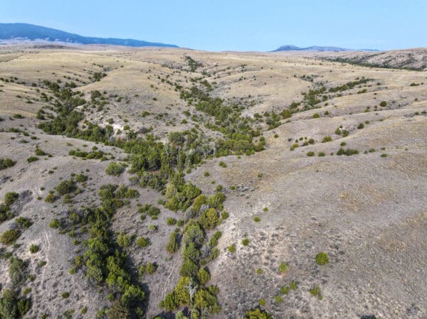 Aerial view of rolling, dry grassy hills dotted with green shrubs and trees, perfect recreational land or hunting property. A shallow valley cuts through the landscape beneath a clear blue sky, with mountains visible in the distant background.