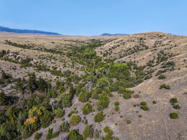 Aerial view of a dry, hilly landscape with scattered shrubs and trees. A lush green strip winds through the center, ideal for a hunting property or cattle ranch under a clear, blue sky.