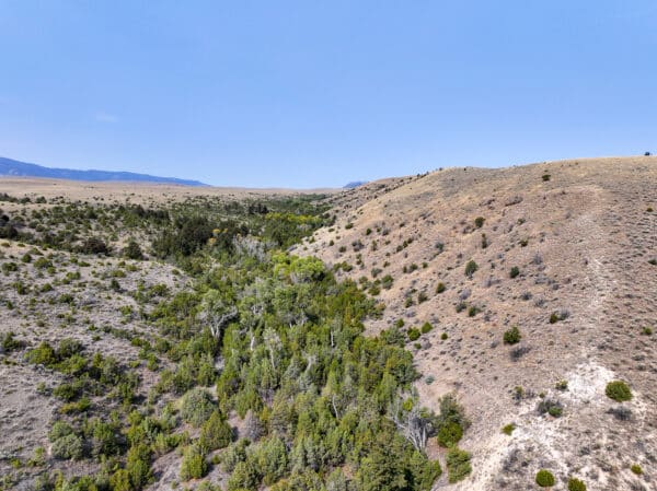 Aerial view of a dry, hilly landscape with scattered shrubs and a green, tree-lined valley running through the center under a clear blue sky—ideal cattle ranch or recreational land opportunity.