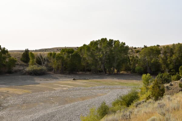 A dry riverbed with patches of grass and scattered rocks, bordered by green trees and shrubs under a clear sky, with rolling hills in the background—ideal recreational land or cattle ranch available.
