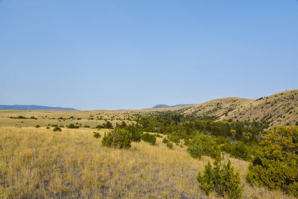 A wide landscape of rolling hills and open grasslands with sparse shrubs and small trees under a clear blue sky. Distant mountains are visible on the horizon, making it ideal recreational land or a prime hunting property.