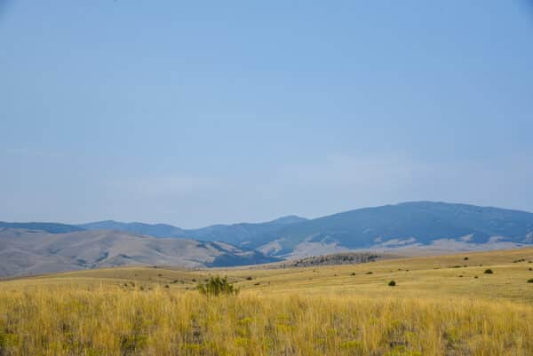 Wide open grassland with dry yellow grasses in the foreground, perfect for a cattle ranch, and rolling hills and mountains under a clear blue sky in the background.