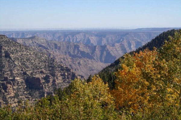 A wide canyon landscape with layered rock formations stretches into the distance, framed by green and yellow autumn trees under a clear blue sky—ideal recreational land or ranch for sale.