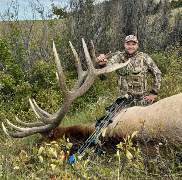 A hunter in camouflage poses outdoors beside a large elk with impressive antlers, holding one antler and a crossbow. Dense shrubs and trees fill the background—perfect scenery for those seeking hunting property or land for sale.