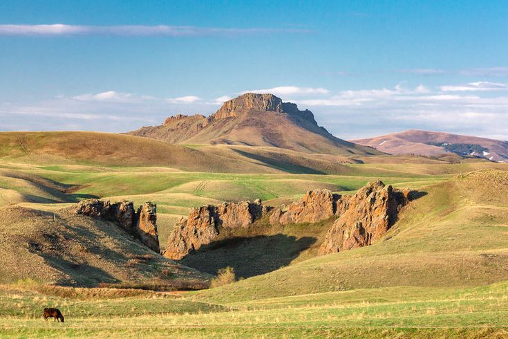 Rolling green hills with rocky outcrops and a prominent plateau-like hill in the background under a blue sky; a single brown horse grazes in the foreground, showcasing prime cattle ranch land for sale.