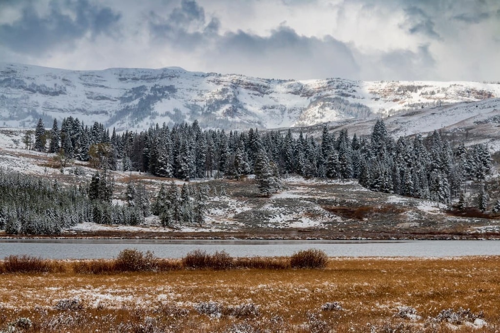 Snow-covered mountains and pine trees rise beyond a river, with golden-brown grass in the foreground under a cloudy sky—perfect recreational land or hunting property.