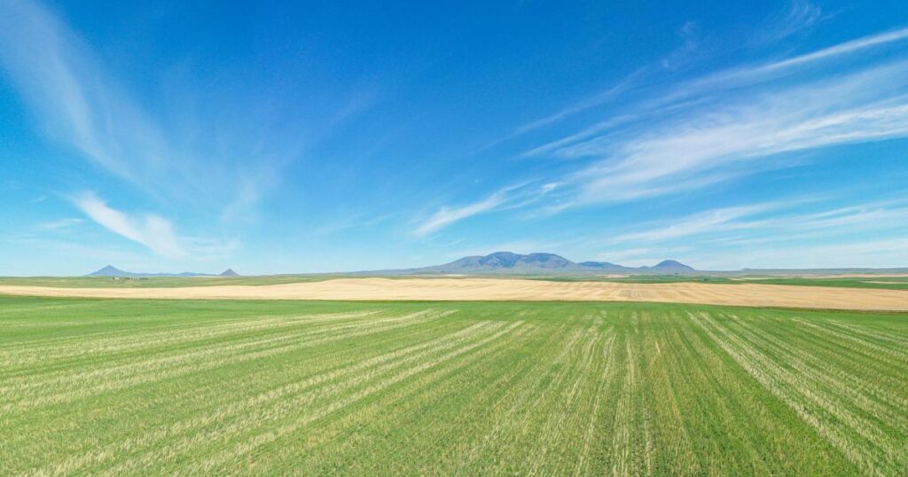 Vast green and yellow fields under a bright blue sky with wispy clouds, distant mountains on the horizon—perfect recreational land or cattle ranch.