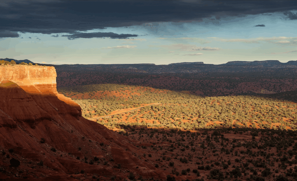 A dramatic desert landscape with red rock cliffs and scattered vegetation under a cloudy sky. Sunlight breaks through, illuminating hunting property and highlighting distant mesas—ideal land for sale on the horizon.