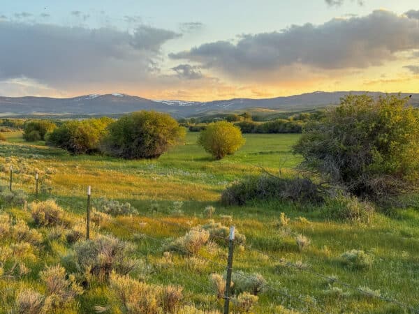 A scenic view of a grassy field at sunset, with scattered bushes, a wire fence in the foreground, and distant mountains under a partly cloudy sky—perfect for a cattle ranch or recreational land.