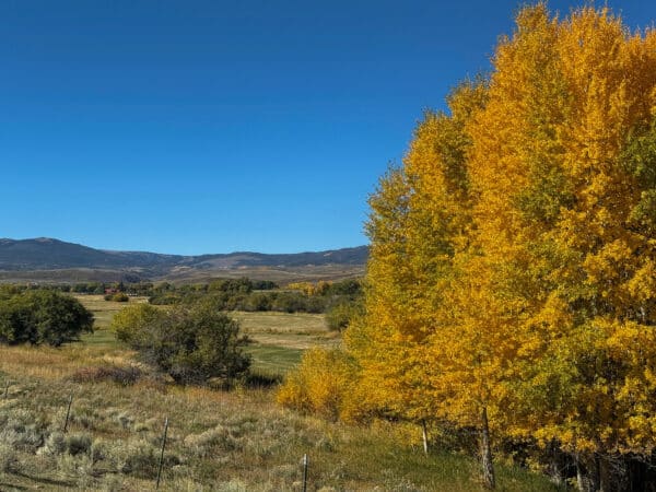 A landscape with golden autumn trees in the foreground, grassy fields, scattered green trees, and distant hills under a clear blue sky—perfect land for sale or a beautiful hunting property.