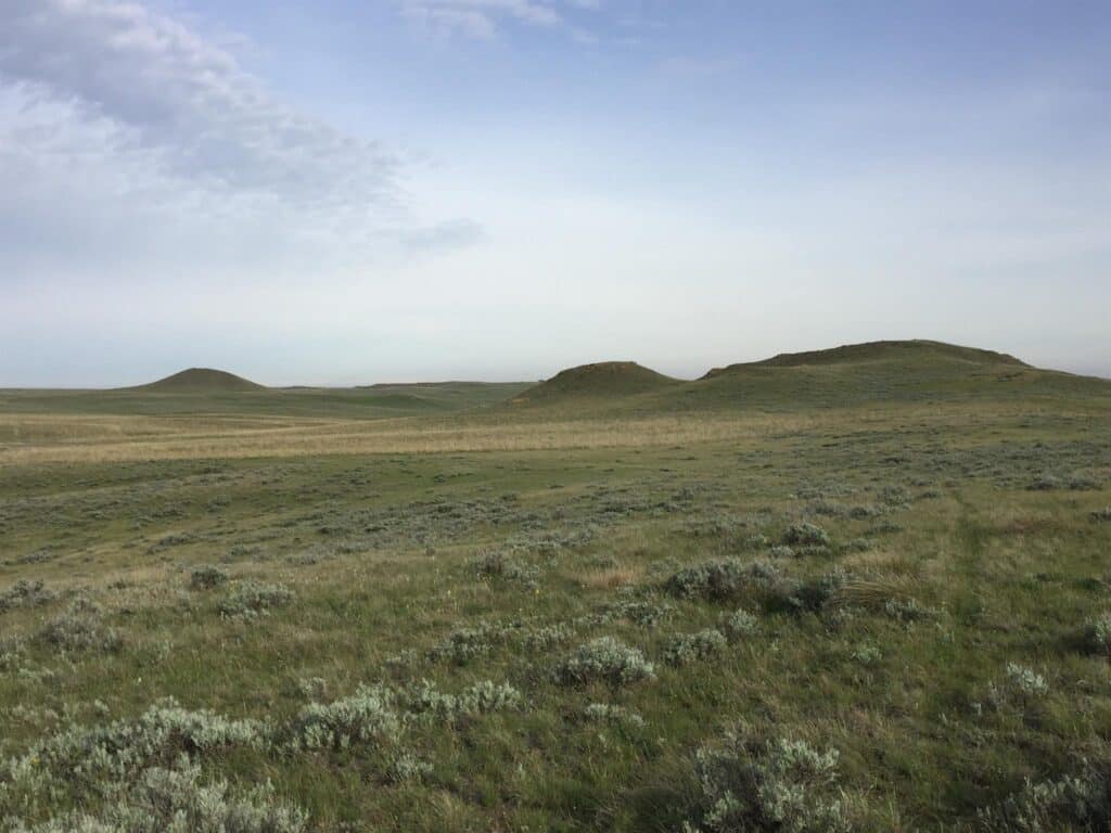 Wide, open grassland under a mostly clear sky with a few clouds. Low, rolling hills are visible in the distance, covered with patches of green and sparse vegetation. This peaceful and expansive ranch for sale offers excellent recreational land.