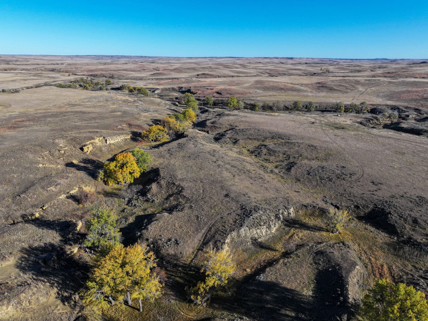 Aerial view of a rolling landscape with patches of yellow and green trees tracing a dry, rocky ravine under a clear blue sky—ideal recreational land or hunting property.